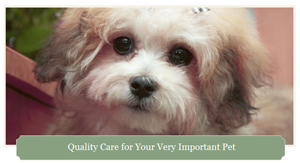 Coventry Pet Resort]